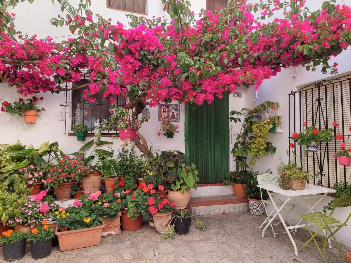 La Buganvilla De Juana Y Antonio Касарес Экстерьер фото
